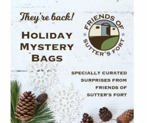 Holiday Mystery Bag 