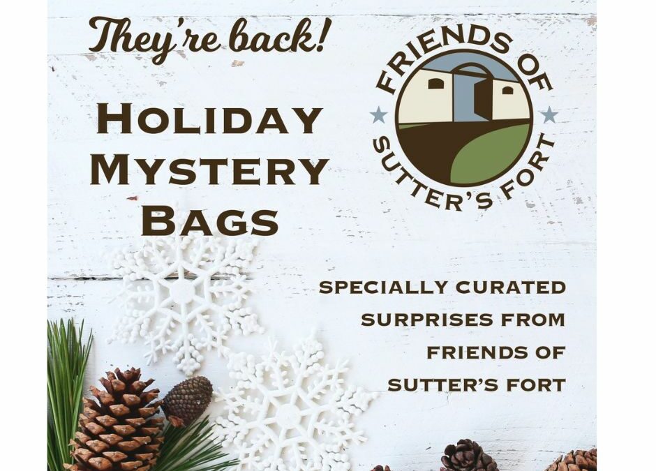 Holiday Mystery Bag