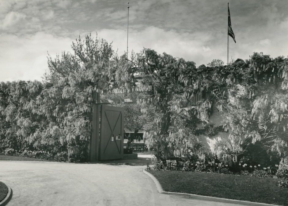 Black and White photograph of the Sutter's Fort entrance, covered with wisteria vines.