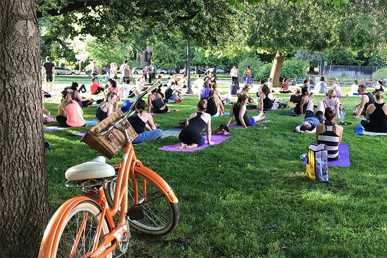 people in yoga poses on mats in the grass. Tree branches shade individuals. A bike is in the forefront.