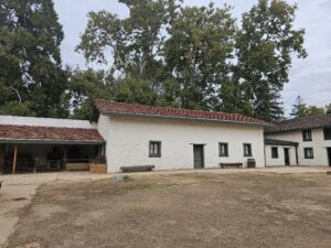 Distillery Room with new roof. Trees overhead