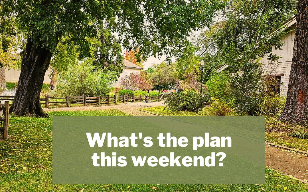 What's the plan this weekend, adobe State Indian Museum, grass and trees in baackground