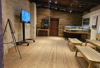 Inside the Media Room: Wooden floors, brick walls, new TV on stand, wooden benches