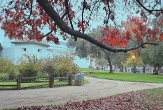 Experience Fall at Sutter’s Fort State Historic Park