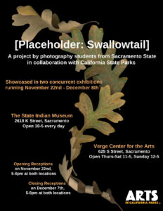 Placeholder Swallowtail Flyer: Leaves against a black background. 